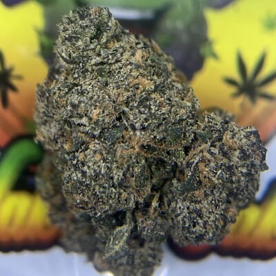 EXOTIC- GARLIC BREATH