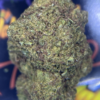 PREMIUM-CHEETAH PISS