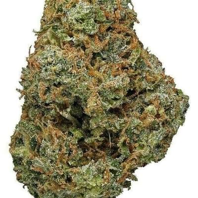 CANDY JACK - 5 GRAMS