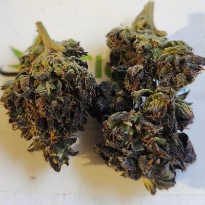 Ghost Rider OG - P