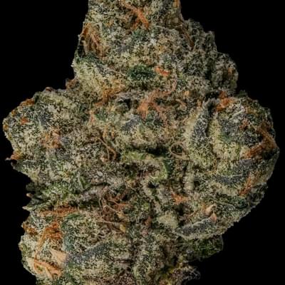 BLACK CHERRY FIZZ (SATIVA)