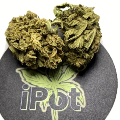 Larry OG