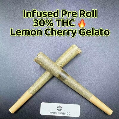 Designer Pre Roll---Recommend