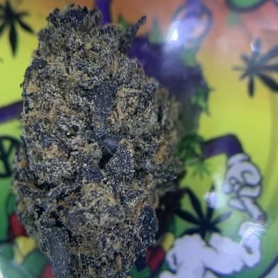 DESIGNER- PURPLE BISCOTTI