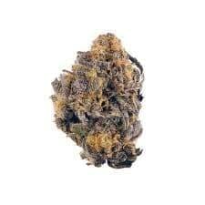 Gorilla Grapes (EXOTIC A+)