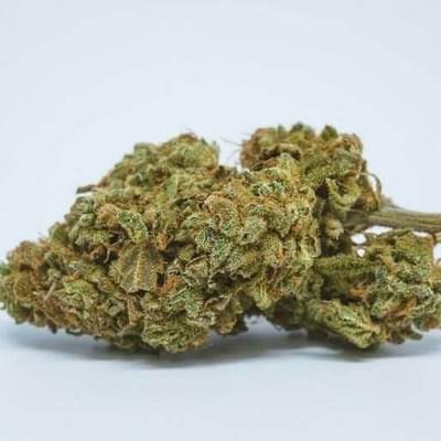 JET FUEL OG - 5 GRAMS