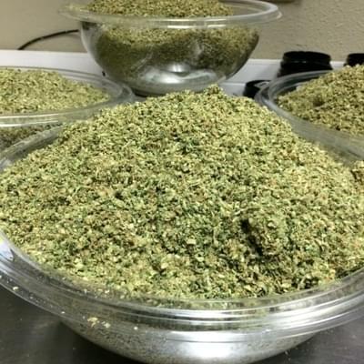 House Shake ( Indica)