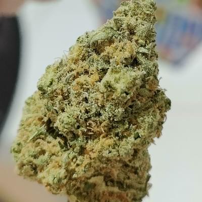 Super Lemon Haze (AAA Top Shelf)