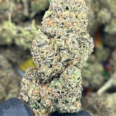 EXOTIC - STRAWBERRY GUAVA