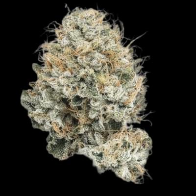 Casino kush (DESIGNER)
