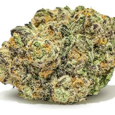 BLUE BERRY GELATO