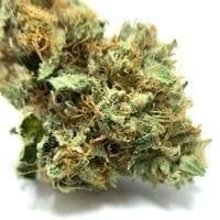 Bubba Kush