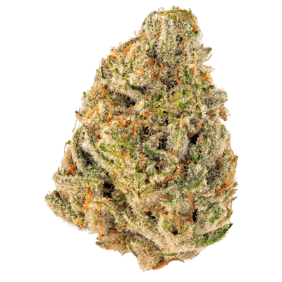 Hawaiian Dream