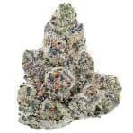 KC exotic