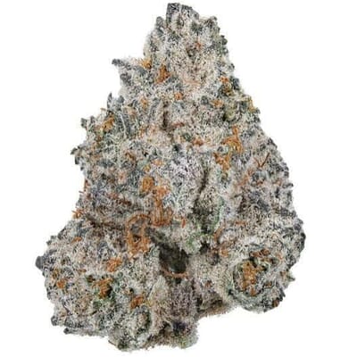 Rainbow Nerds Cannabis - 41% THC Designer Exclusive Strain