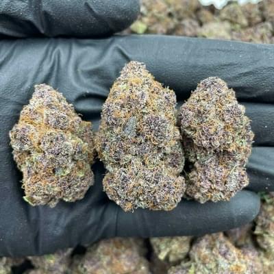 Jelly nerds (Exotic)