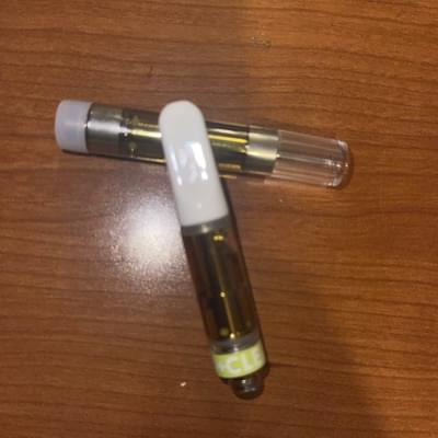 INDICA