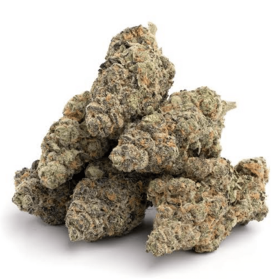 Gary Payton - Exotic