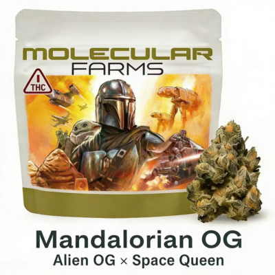 Mandalorian OG