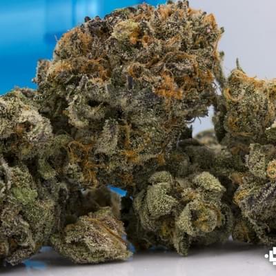 Berry white +A