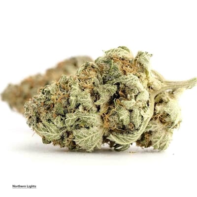Northern Lights