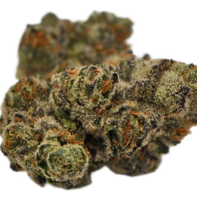 Fuel Biscuits (AAA)