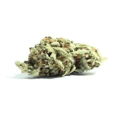 Yeti OG (PREMIUM)