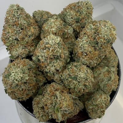 HAWG | Green Dawg Cultivators