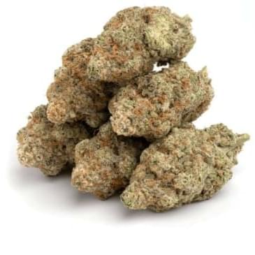 Gelato
