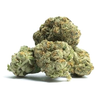 Master Kush