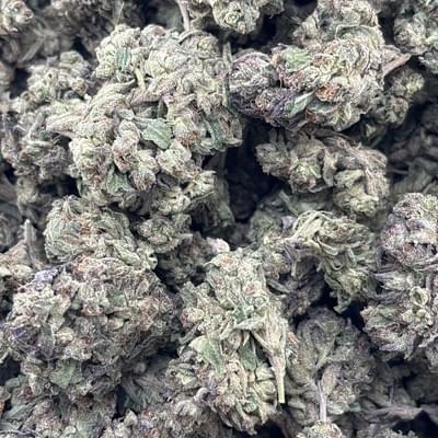 Lemon Cherry Tart (LA)