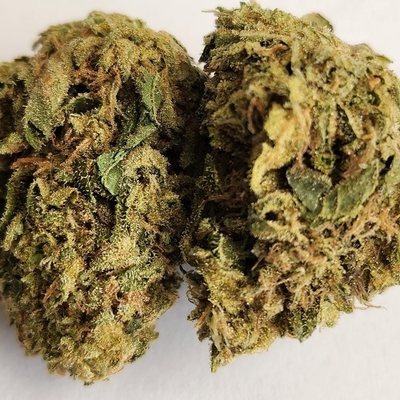 Flo White- A+ Topshelf