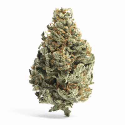 Cali Gold (AAA INDOOR)