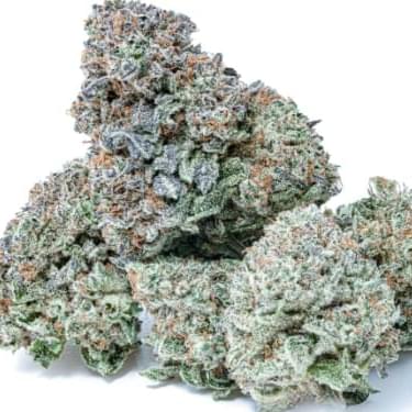 Very Berry (exotic)