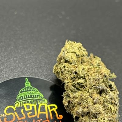 Memory Loss (TOP SHELF)