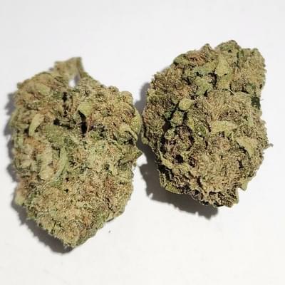 Sour Flame - P