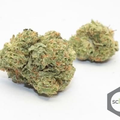 Chem  Jack
