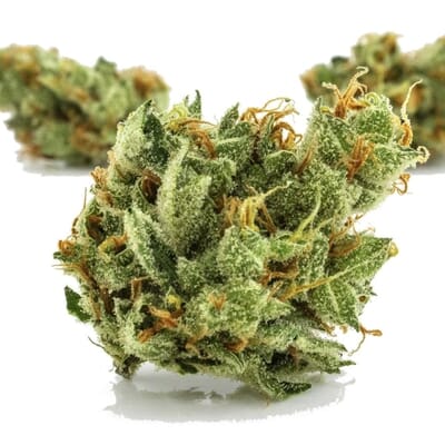 Pineapple Xpress