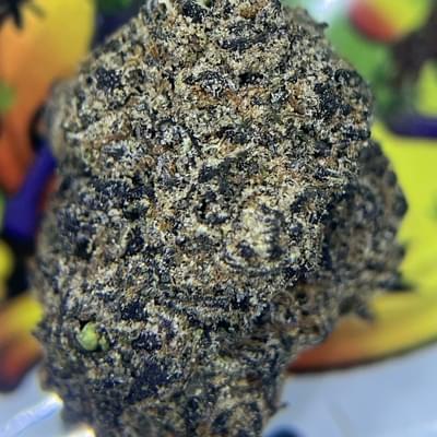 DESIGNER- LA POP ROCKS