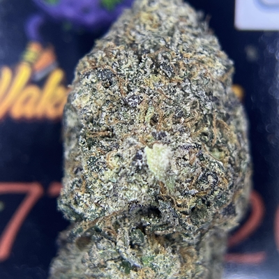 DESIGNER- SPACE CRUSH