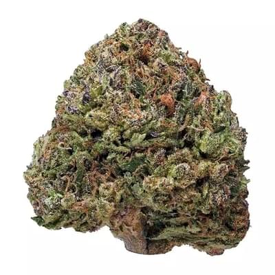 Frankenstein (Top shelf)