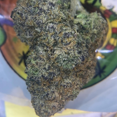 EXOTIC- WATERMELON Z