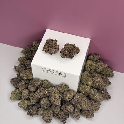 Louis XIII OG-Exotic A+