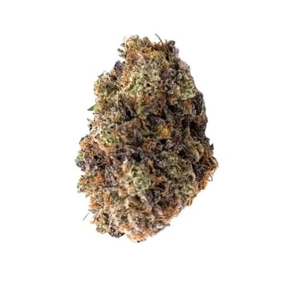 Alien Blackout-AAA
