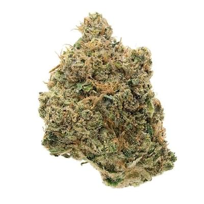 Blue Poison (EXOTIC A+)