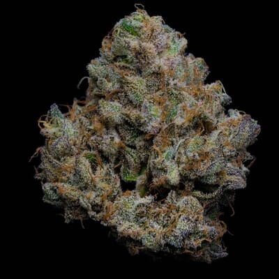 King Louis XIII - Indica THC 31%