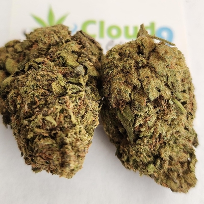 Chocolate Thunder Fuck-P