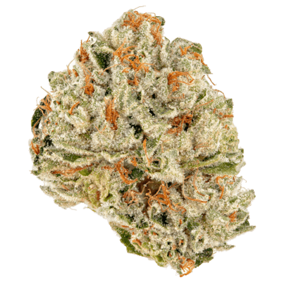 Lemon Thai( AAA+)