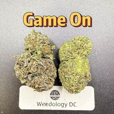 Game On---Top Shelf