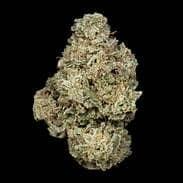 SNOWMAN (DESIGNER/SATIVA)